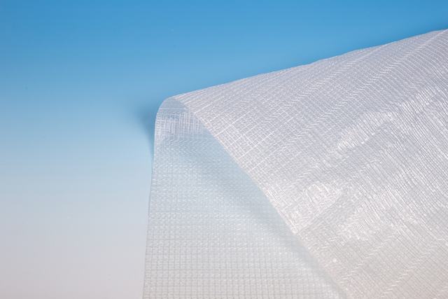 Harmony 2047 FR doek